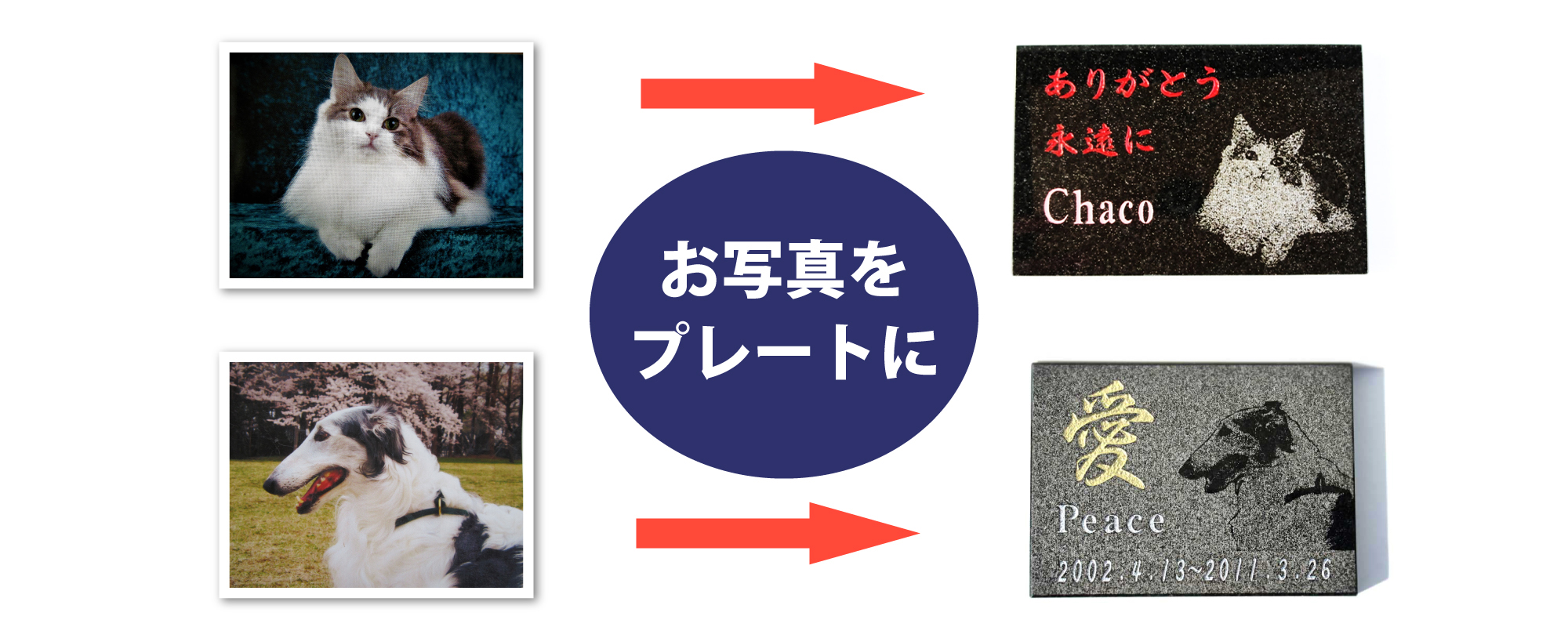 ペットのお写真をメモリアルプレートに加工デザインいたします。